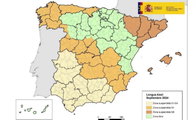 La vacunació de la llengua blava, clau per evitar-ne l'expansió