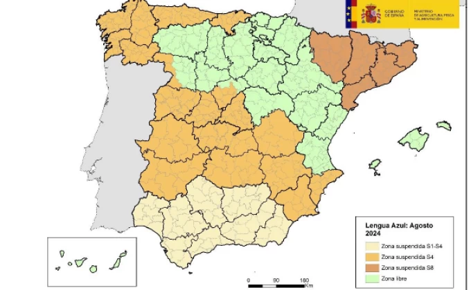 La vacunació de la llengua blava, clau per evitar-ne l'expansió