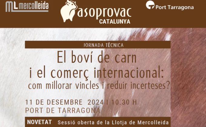 Propera cita del boví de carn al Port de Tarragona